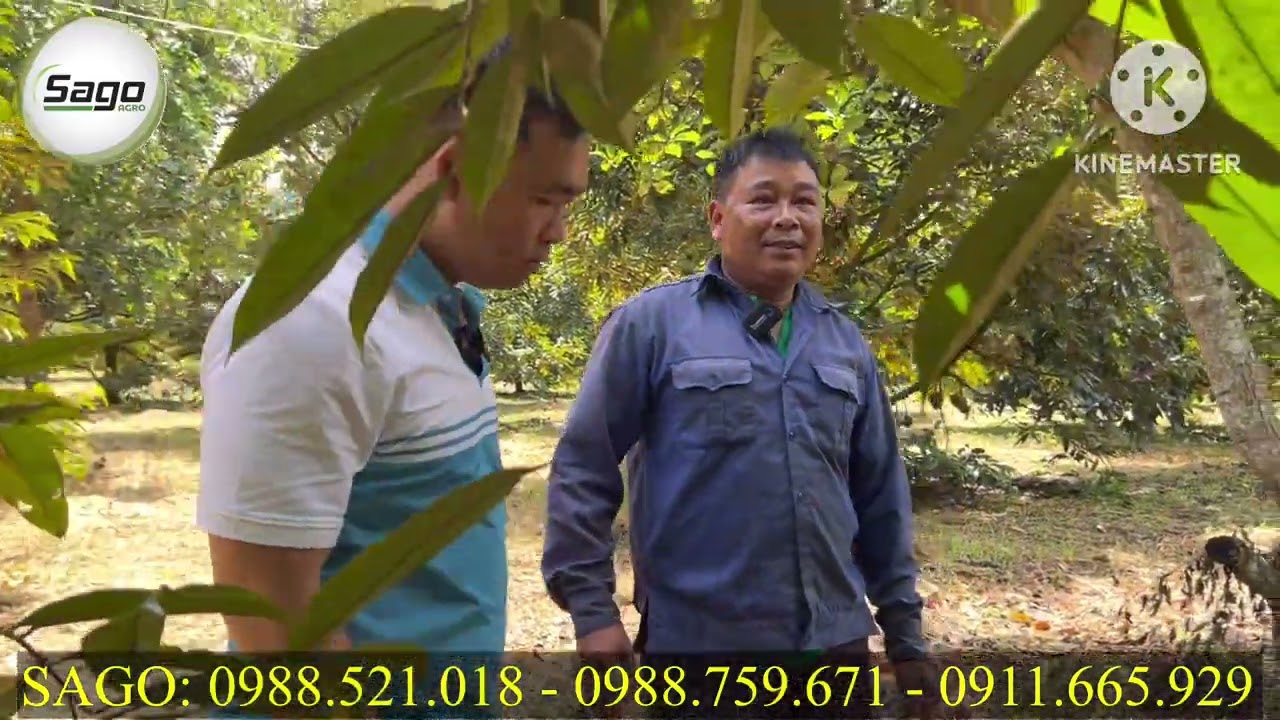 💯💯💯 CHĂM S&Oacute;C TR&Aacute;I 60 NG&Agrave;Y V&Agrave; CHIA SẼ KINH NGHIỆM ĐỂ NU&Ocirc;I TR&Aacute;I ĐỒNG ĐỀU, KHOẺ C&Acirc;Y.