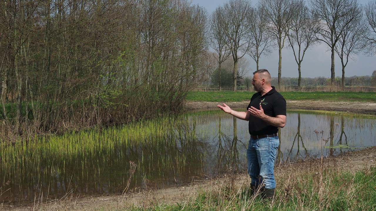 Resultaat beheer amfibieënpoel voor boomkikker