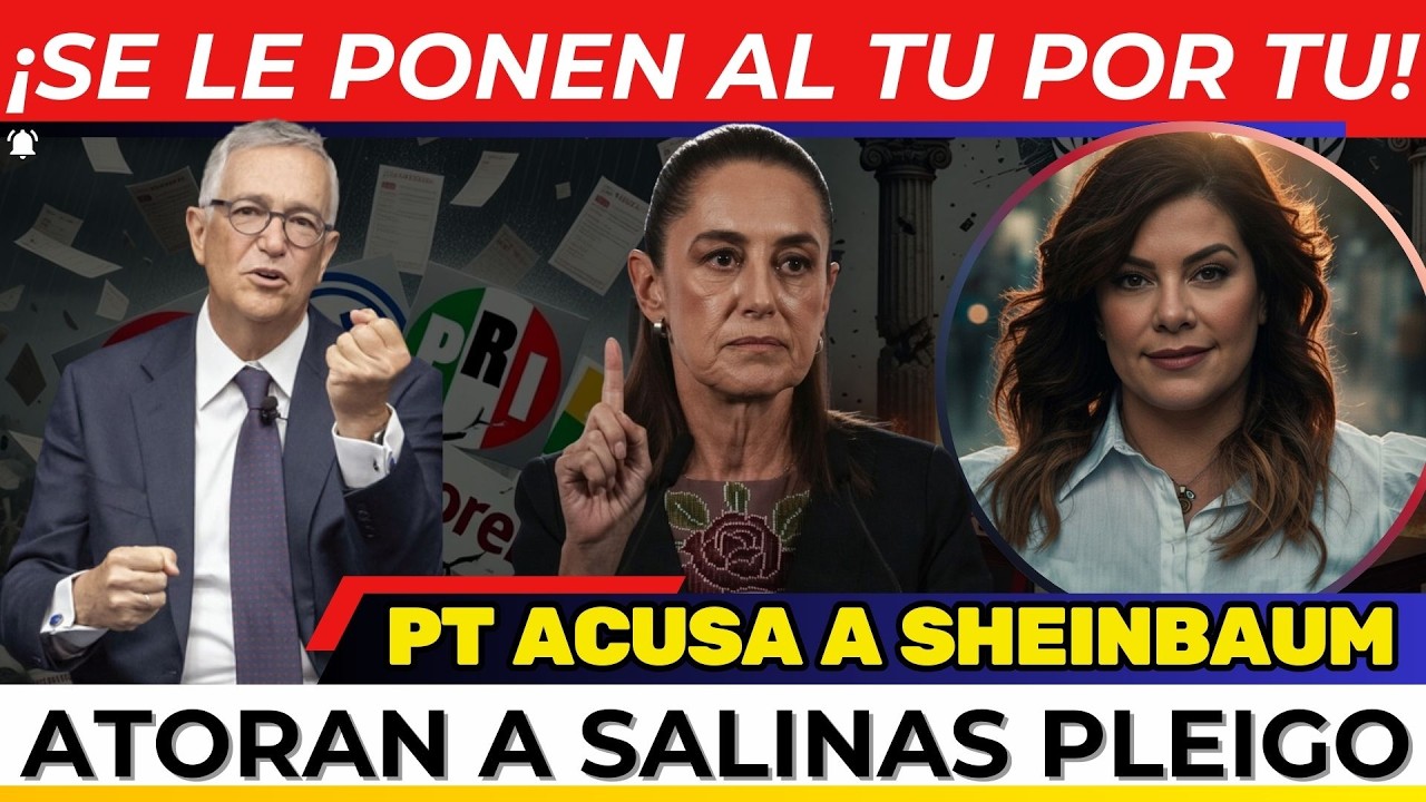 ¡SE LE PUSIERON AL TU POR TU! CASIQUES enfrentan a SHEINBAUM. ATORAN a Salinas Pliego, ACORRALADO