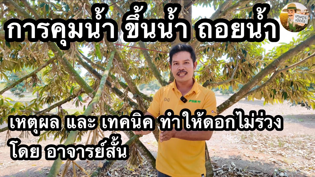 การให้น้ำ ขึ้นน้ำ ถอยน้ำ ทำอย่างไรถึงเหมาะสม ในช่วงไข่ปลาถึงหางแย้ไหม้ | อาจารย์สั้น
