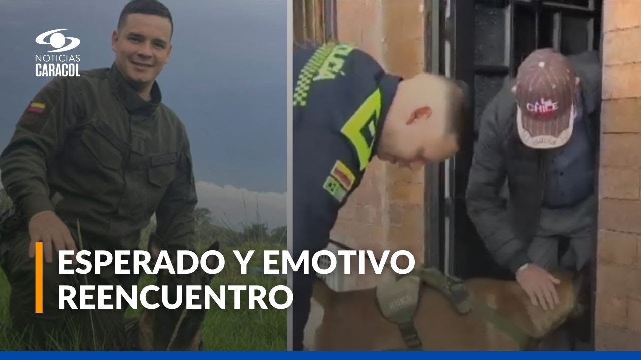 Perro que esperó durante días a su amo, policía asesinado, volvió con su familia