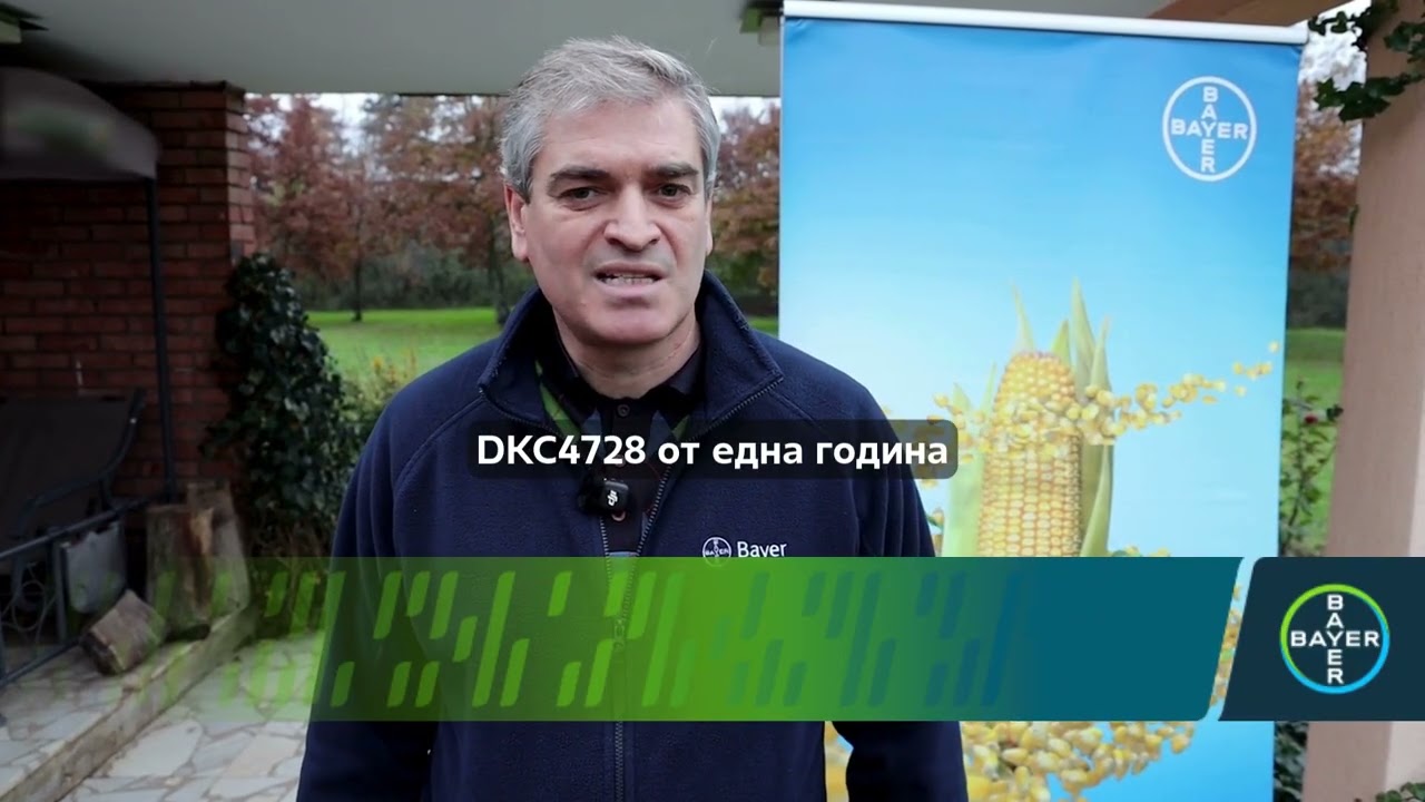 🌽 Кои хибриди царевица DEKALB® са най-подходящи за Централна Северна и Западна България?