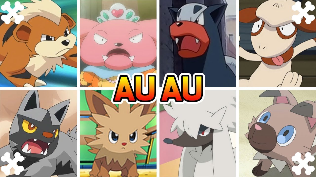 CÃES POKÉMON EXPLICADOS!!