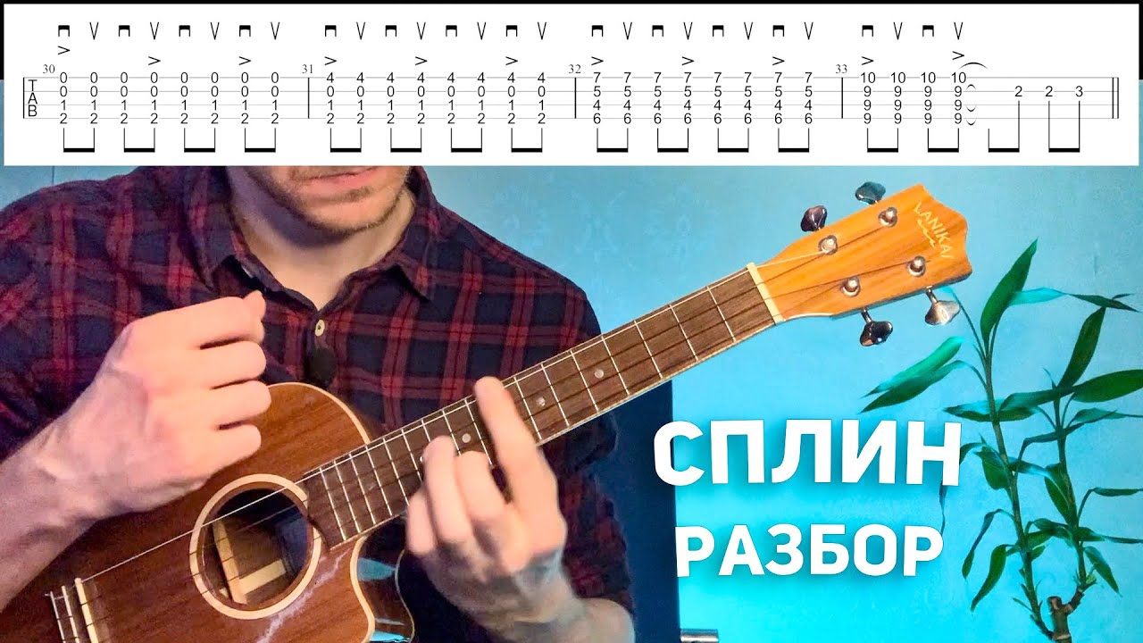 мое сердце остановилось сплин разбор на укулеле