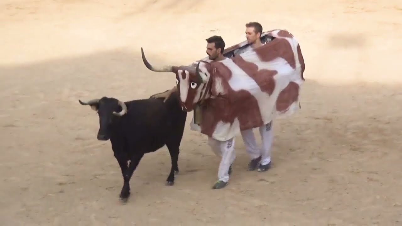 😂 &iexcl;SE DISFRAZAN DE MANSO Y ENGA&Ntilde;AN AL TORO BRAVO! 🐂🔥