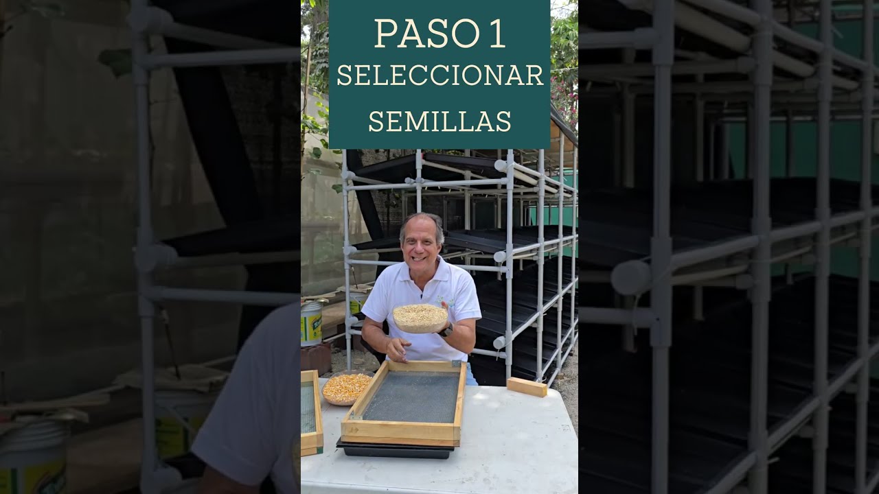 Curso de FVH sesion 1 Seleccionar Semillas