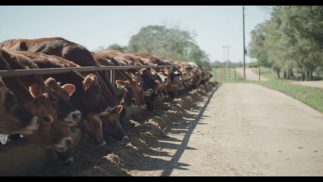 Rowley Dairy- Mississippi