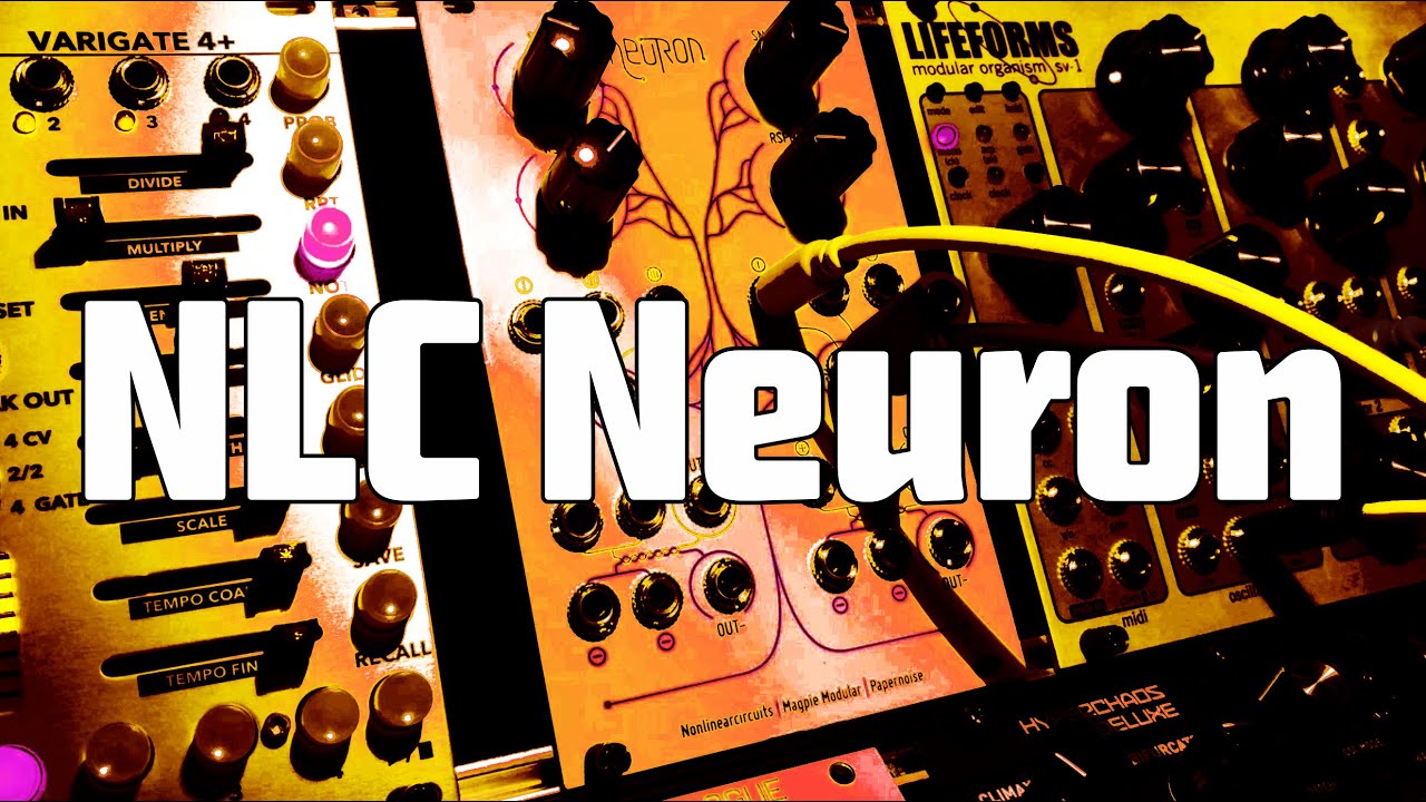 eXploring: NonlinearCircuits Neuron [+Beats]