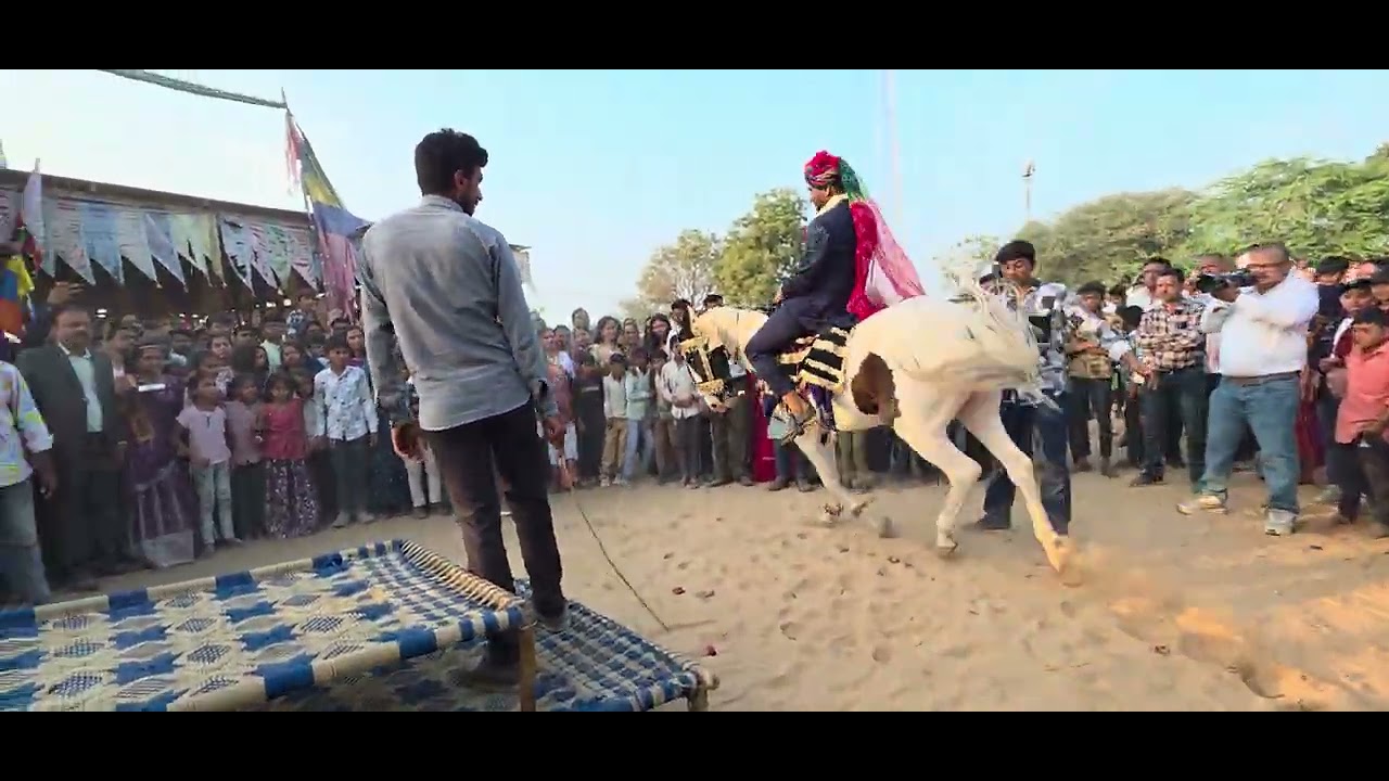 Viral ghodi #shorts 