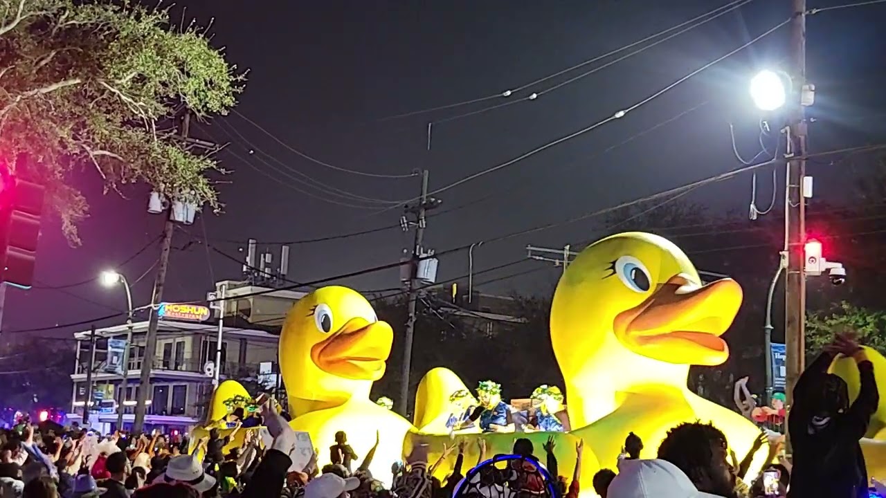 Krewe of Muses 2026 7 - Float 6 Mama Duck and Ducklings