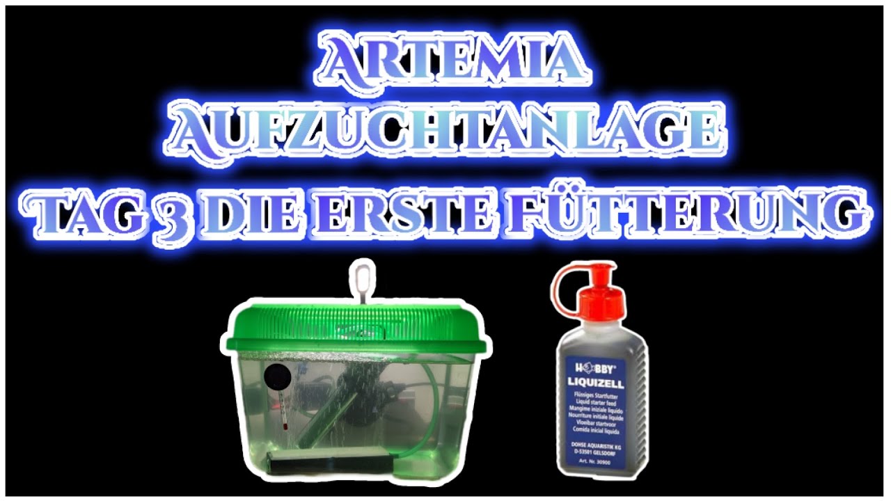 Artemia Aufzuchtanlage 31.08.2022 Folge: 16