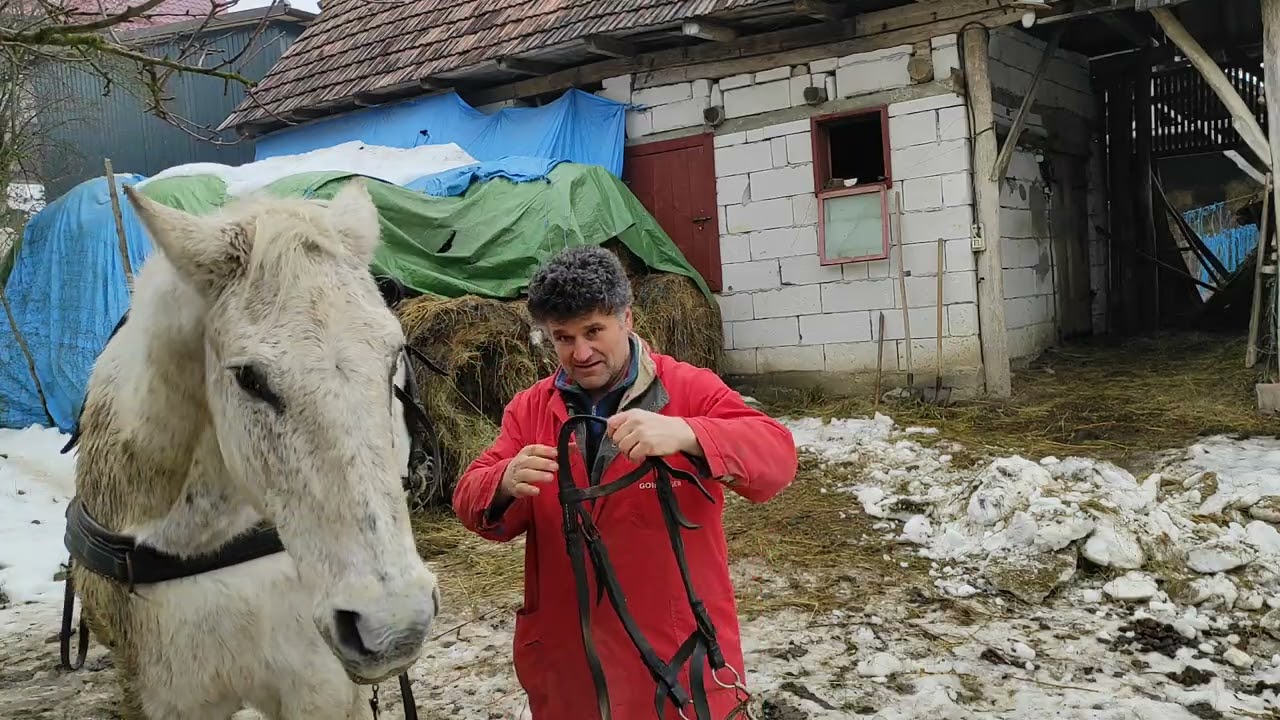 Tanya Tour! 🛖Vágatlan videó:Többet ésszel mint erővel!💪