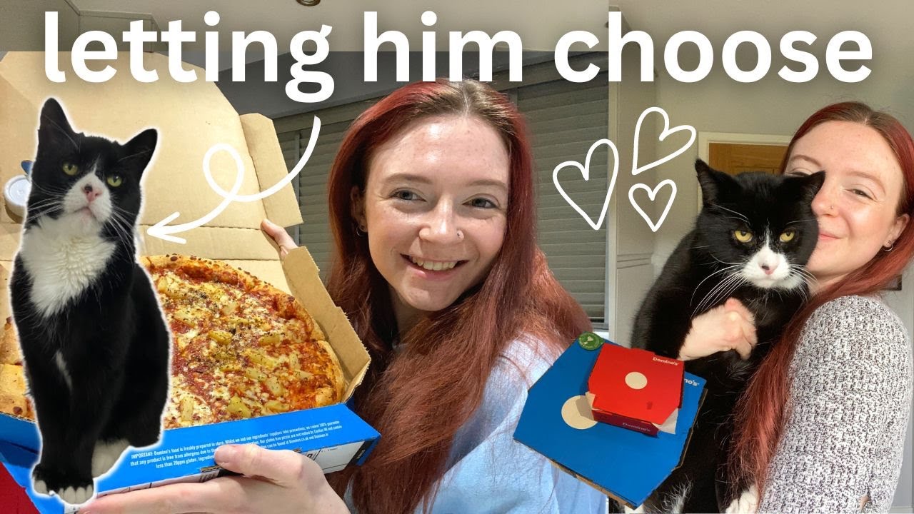 I let my CAT choose MY FOOD for 24 hours !!