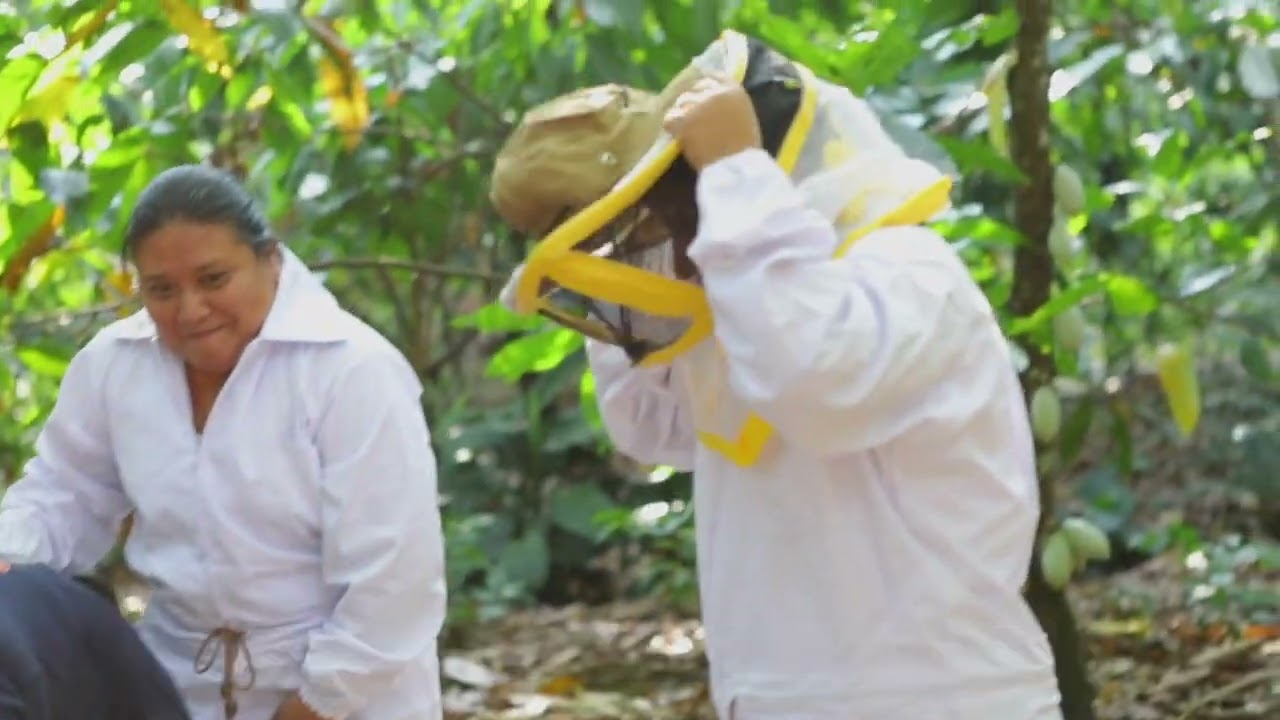 Avances del Proyecto Cadena Volcánica Central (video largo eng)
