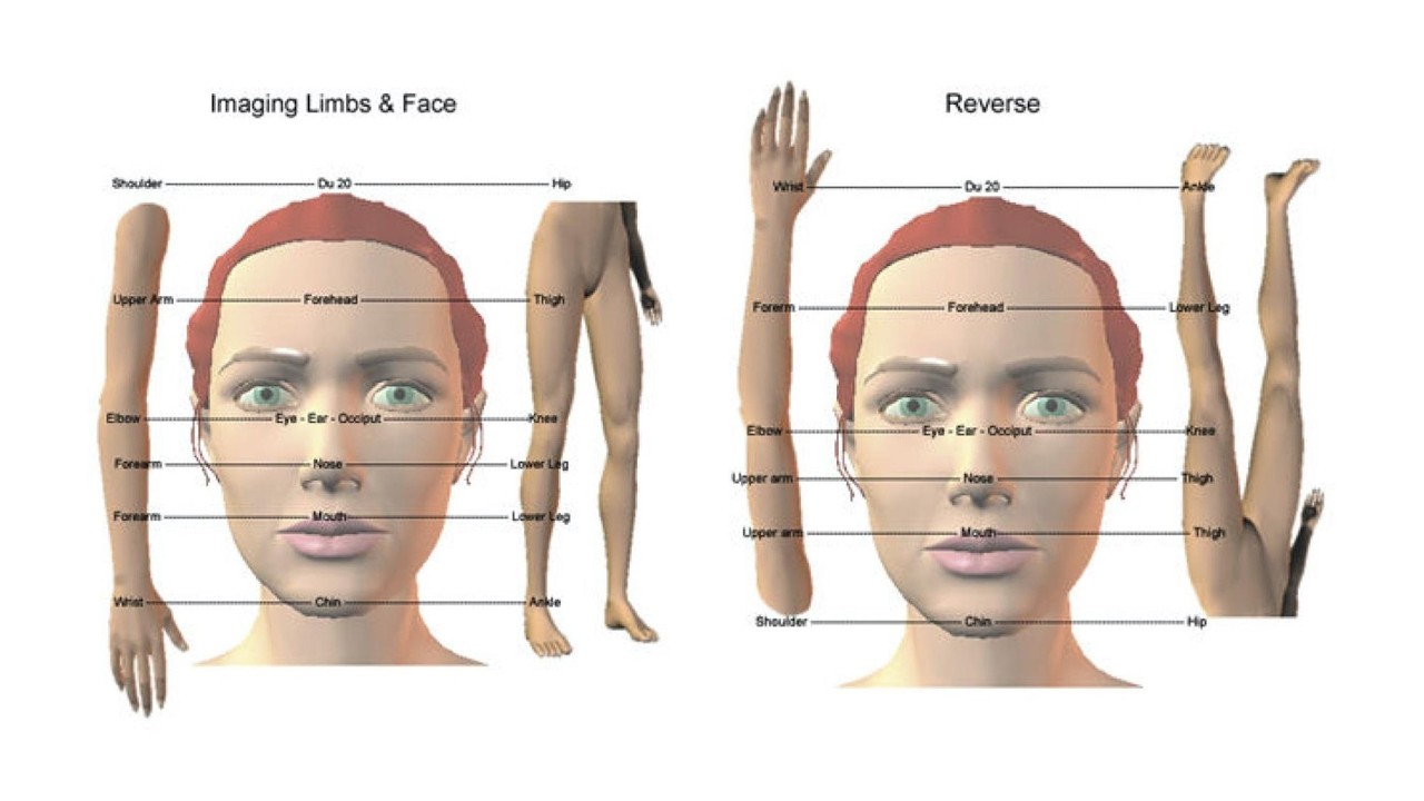 TAN GLOBAL BALANCE METHOD ACUPUNCTURE 3: IMAGING SYSTEMS