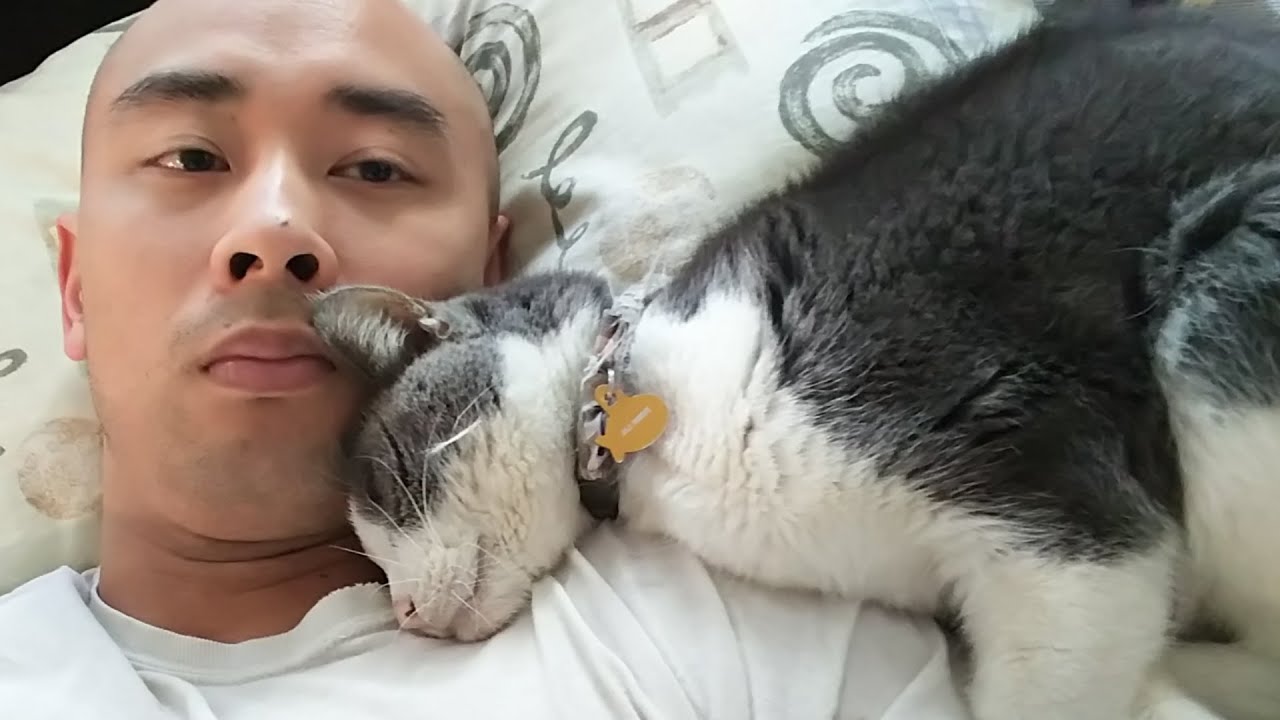 an unexpected goodbye