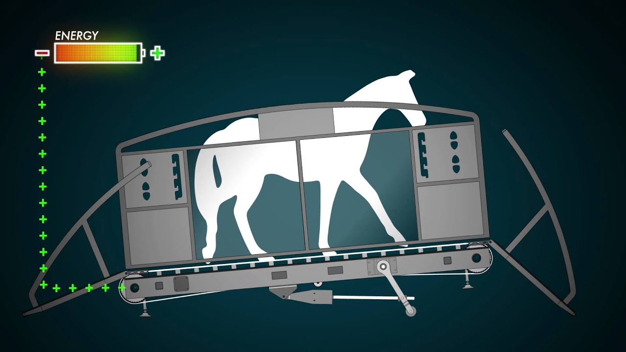Sascotec   Elite Horsetrainer   Laufband & Aquatrainer