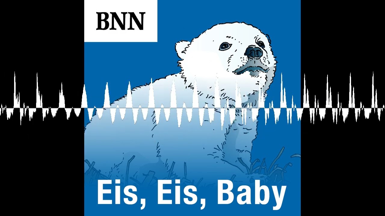 Von Krähen, Robben und Rentieren – Eisbär Mika wird zum Jäger - Eis, Eis, Baby