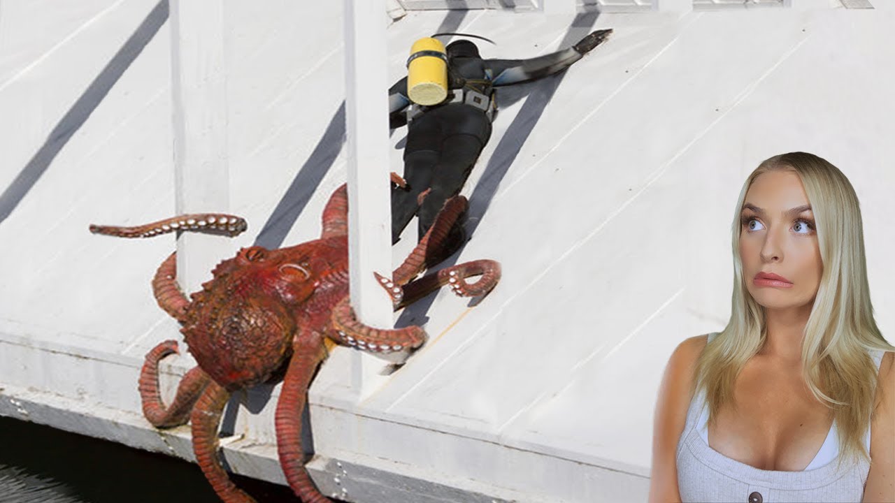 10 Satisfying Stories of Instant Karma