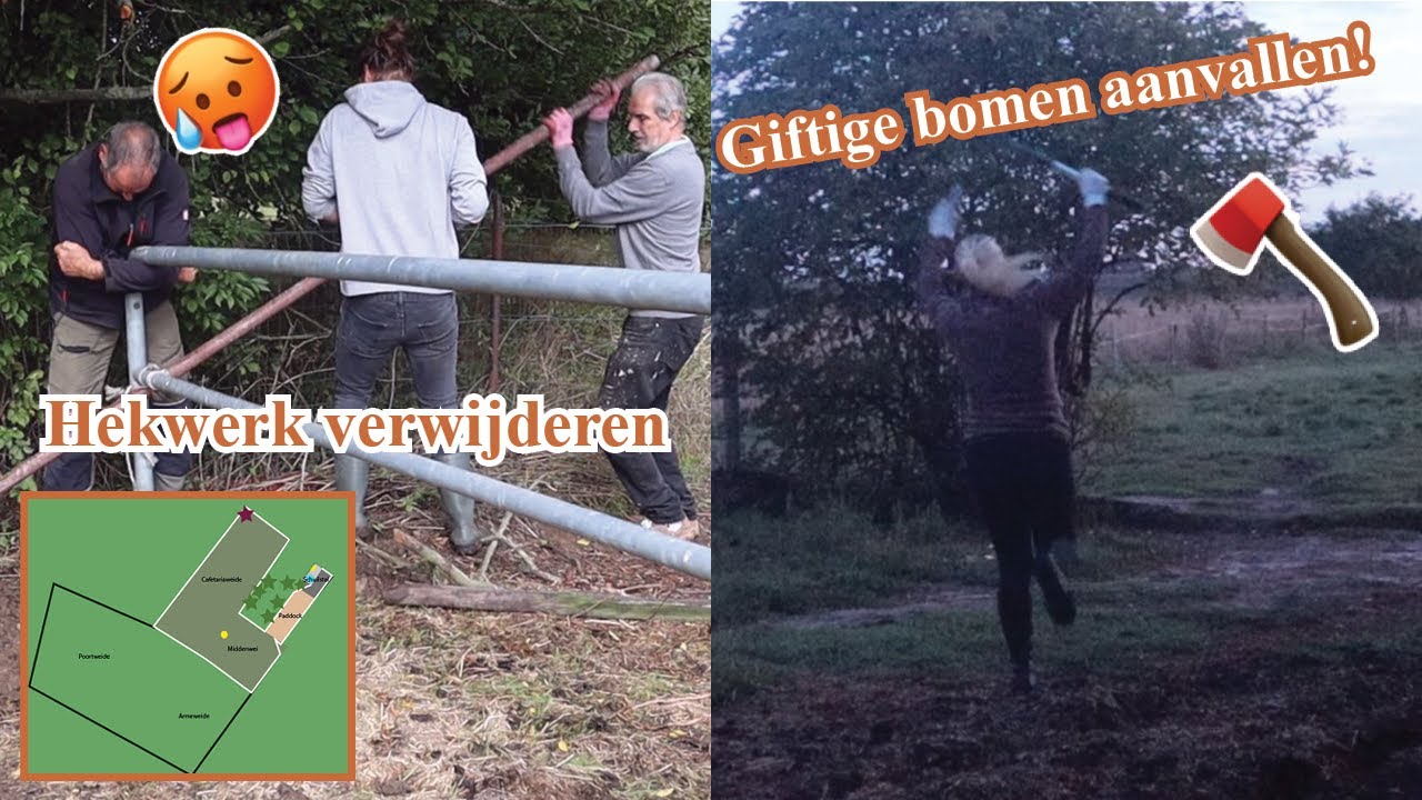 GIFTIGE bomen en heel veel HEKWERK VERWIJDEREN + AGRISHOP UNBOXING | Vlog #21 | Dwally's Horses