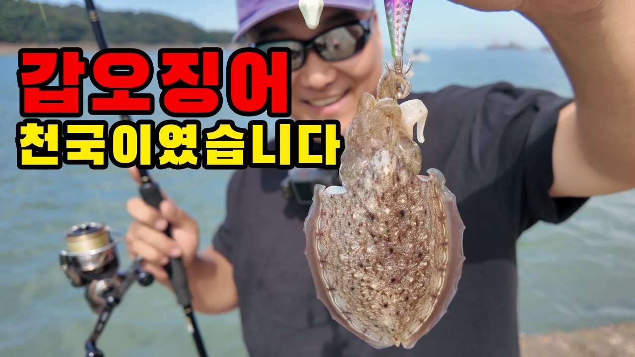 이 섬은 분명 갑오징어 밭이었는데... 갑오징어 낚시 워킹 포인트 참고하세요