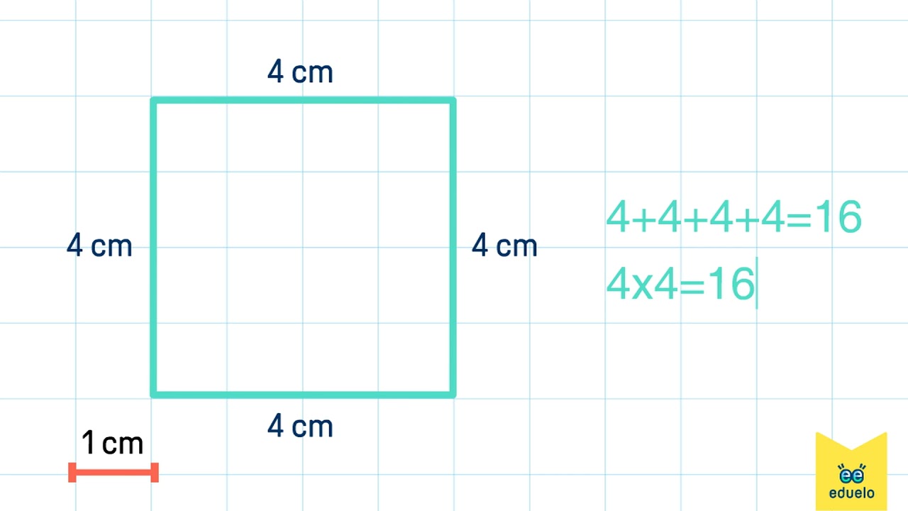 Obliczanie obwodu &ndash; Matematyka, Klasa III - Eduelo.pl