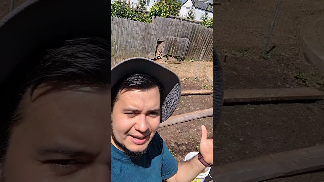 turning one more yard into a productive garden. start a garden from scratch