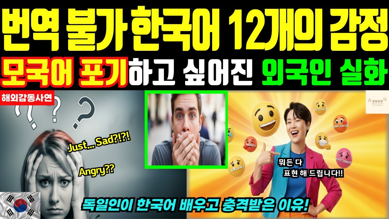 [해외감동사연] 외국인 번역가가 포기한 한국어 표현 TOP 10