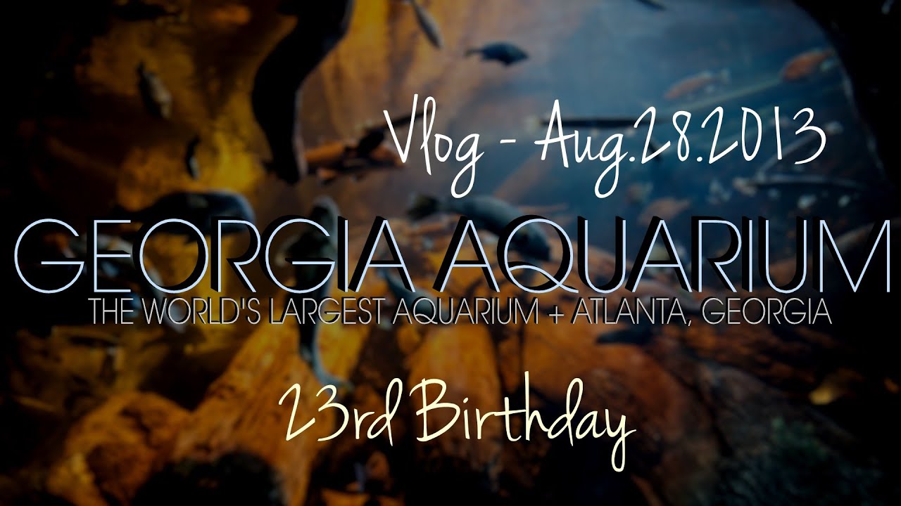 Inside The Georgia Aquarium (The World's Largest Aquarium) - ProfessorHines Vlog