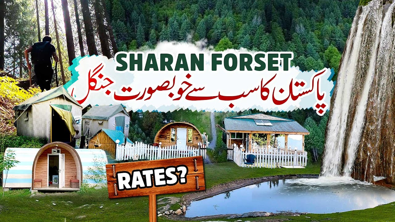 Visit The Most beautiful jungle of Pakistan | Sharan Forest | Naran Kaghan Valley