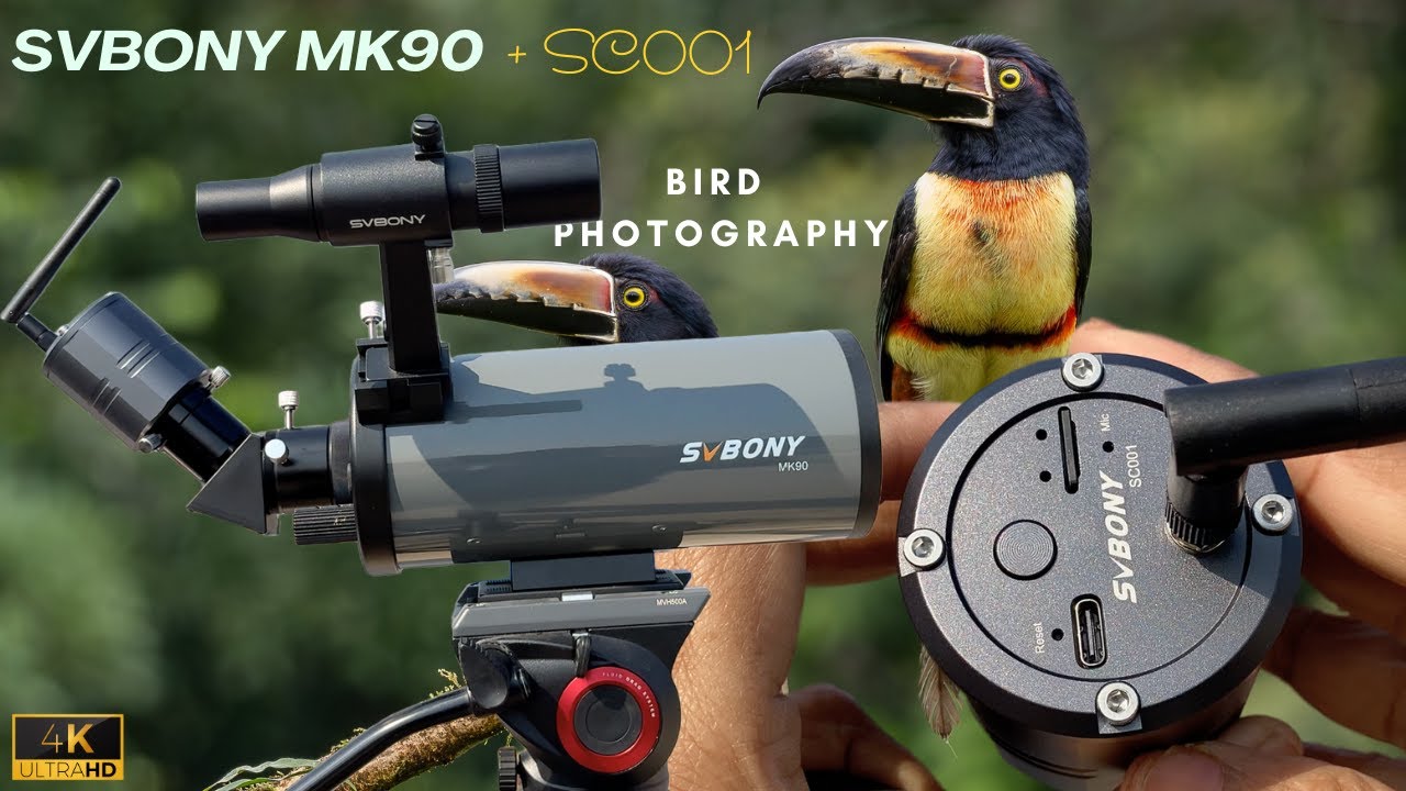[Amazing Bird Photography!] SVBony MK90 90mm Portable Telescope + SVBony SC001 | Complete Tutorial