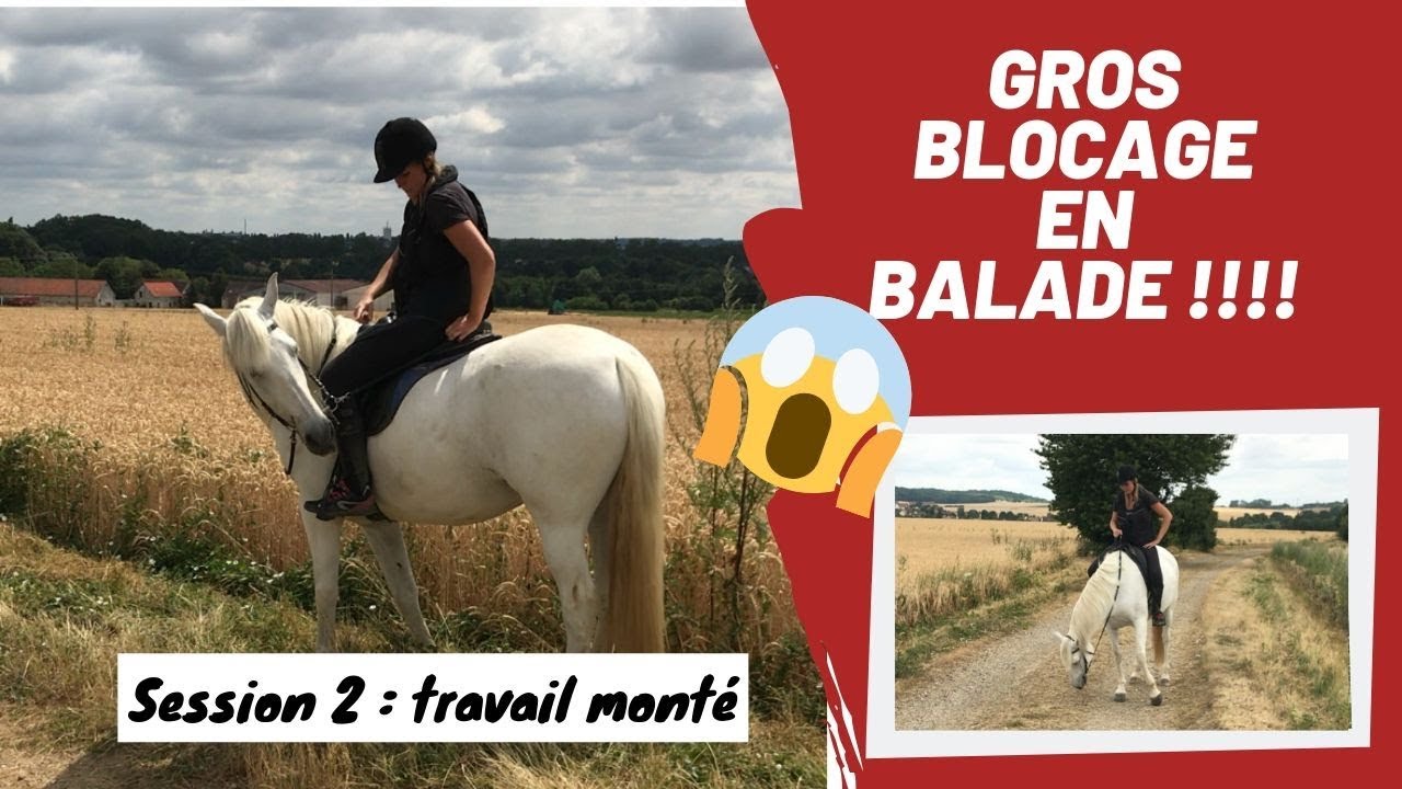 [CHEVAL] Alias blocage en extérieur | Session 2: Travail monté