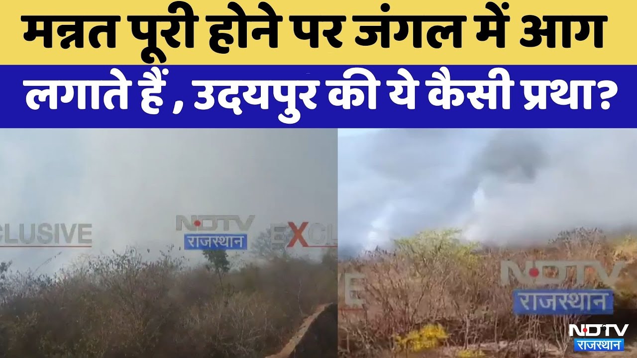 Udaipur Fire: मन्नत पूरी होने पर जंगल में आग | Viral Video | Top News | Rajasthan | Badi Hills Fire