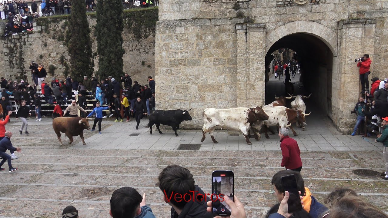 Ciudad Rodrigo  2025  Encierro del sabado  ,Carnaval del toro
