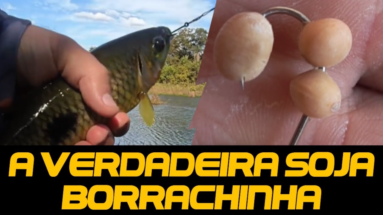 A verdadeira SOJA BORRACHINHA! 🌽 O Segredo REVELADO🎣😱