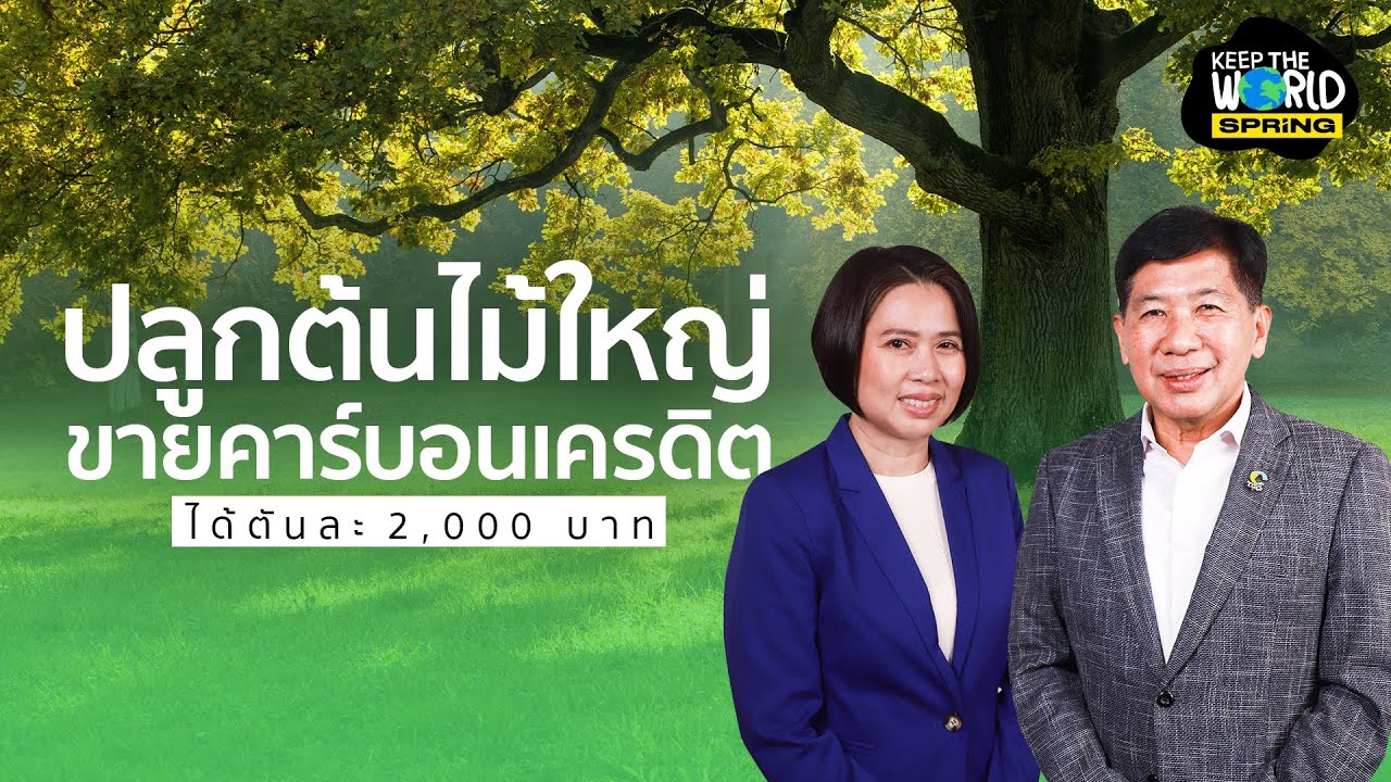 ปลูกป่าขายคาร์บอนเครดิตได้จริง แถมราคาดีด้วย | KEEP THE WORLD | SPRiNG