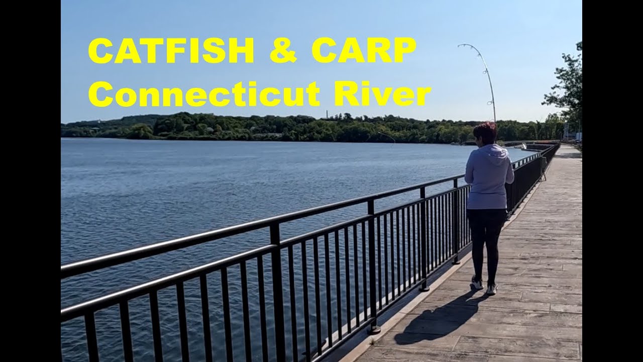 Fishing catfish and carp | Connecticut River CT | 09-17-2022