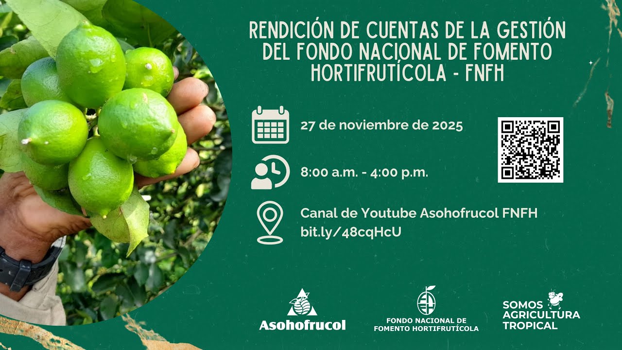 Rendici&oacute;n de Cuentas de la Gesti&oacute;n del Fondo Nacional de Fomento Hortifrut&iacute;cola FNFH 2025