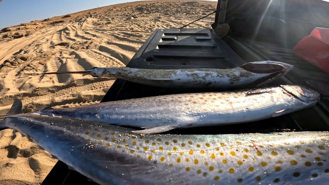 PESCA DE ORILLA LOS CABOS.pescando con  PESCA CABO
