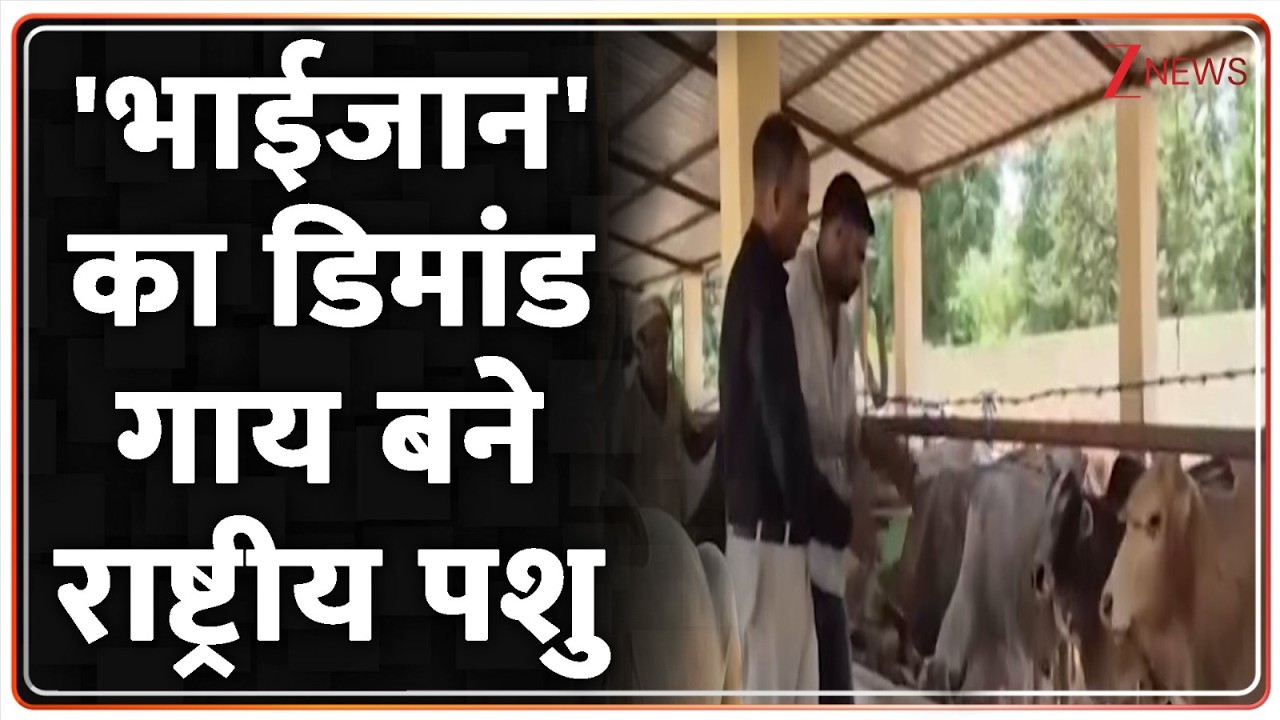 Breaking news: 'भाईजान' का डिमांड गाय बने राष्ट्रीय पशु