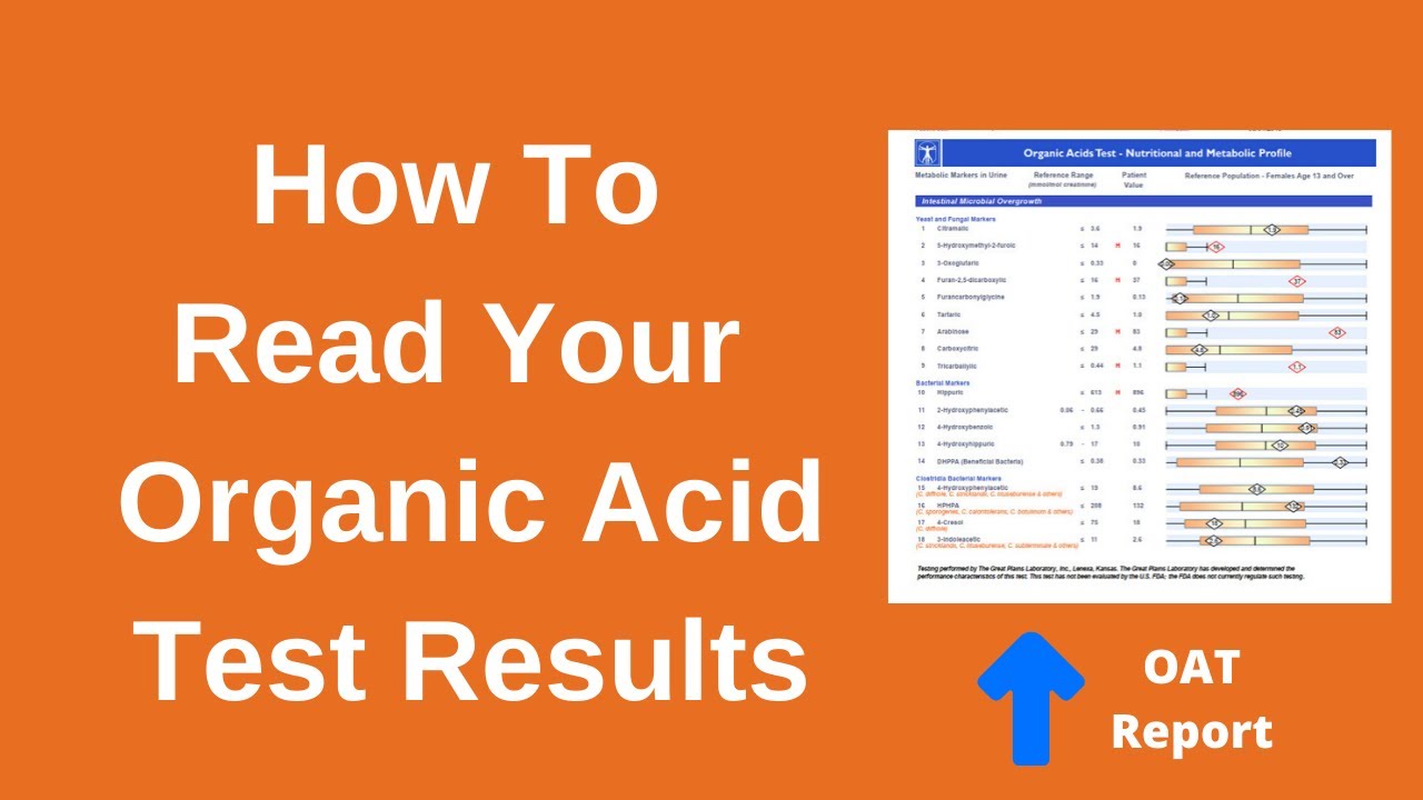 Organic Acids Test Interpretation With Treatment Suggestions