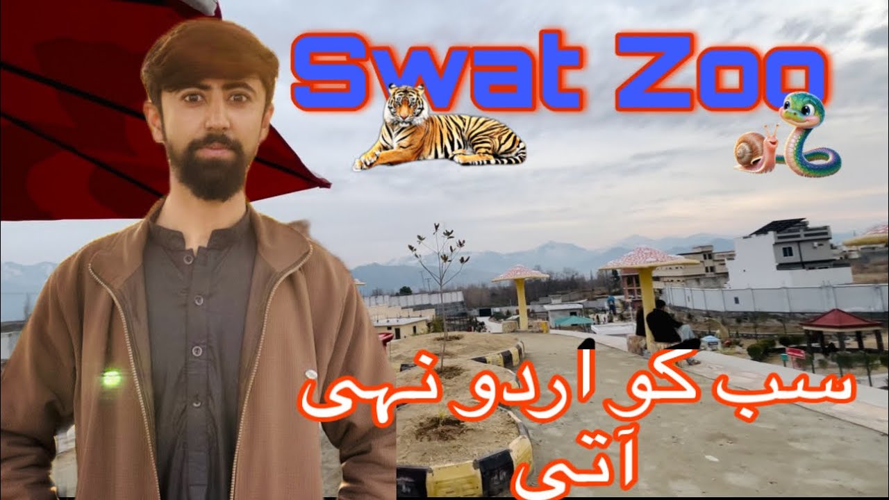 What’s going on in SWAT👀 ~|~ 2 Din swat may kia keya !! ~|~ #abbasyanage