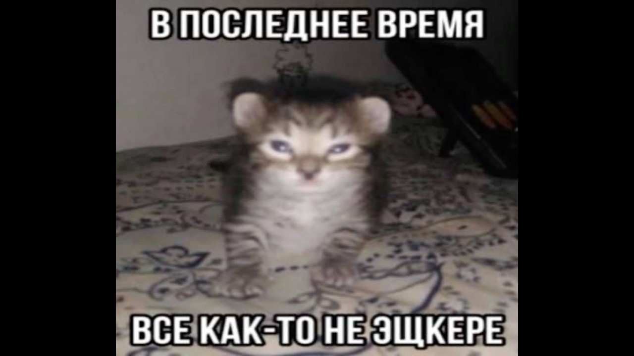 Карос. Первая катка на сине)