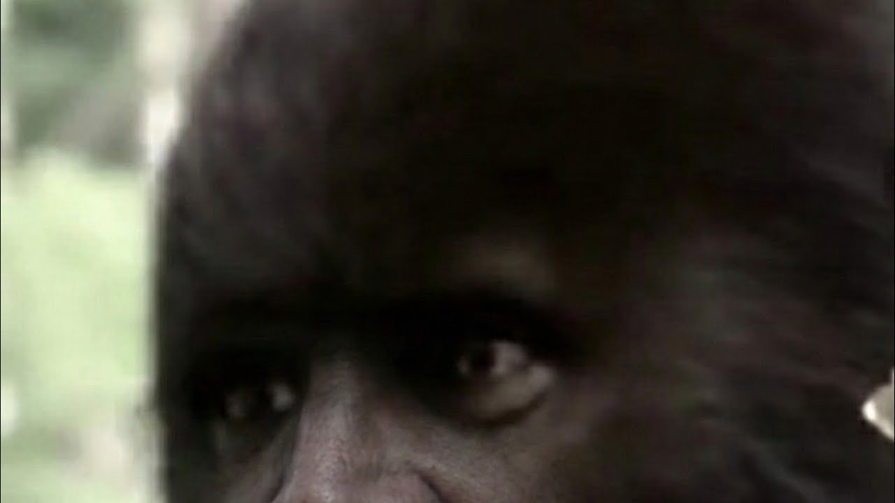 Discovering Bigfoot is live with Todd Standing December 16