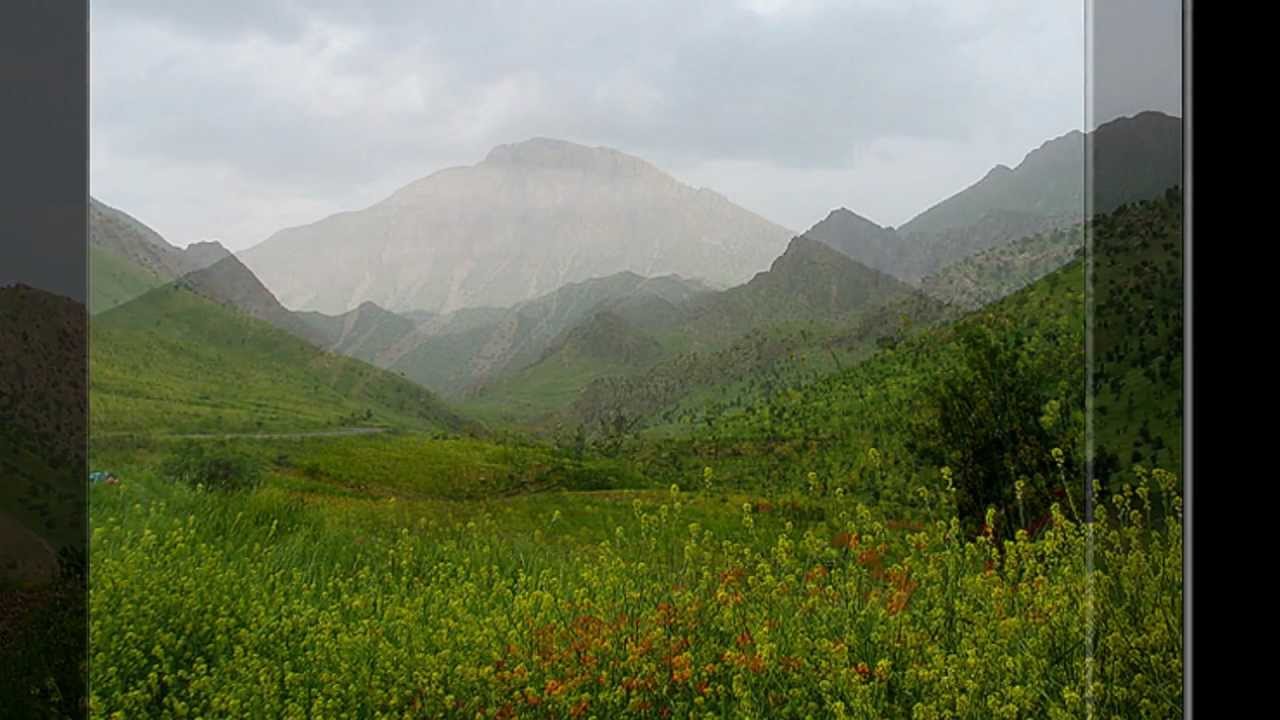 Ali Mardan - Maqami Bayati Shur