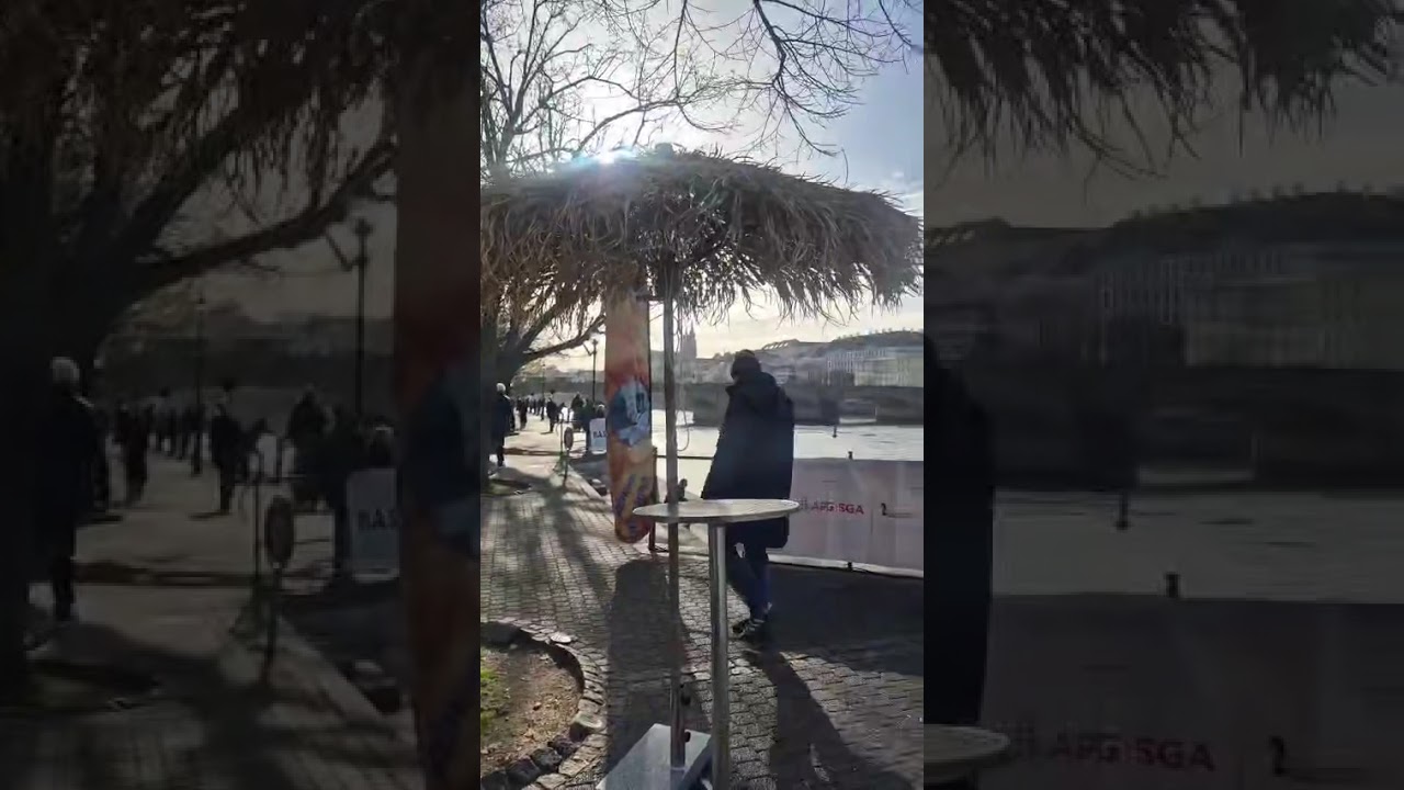 Foodtruck Dominican Republic at Switzerland 🇨🇭 