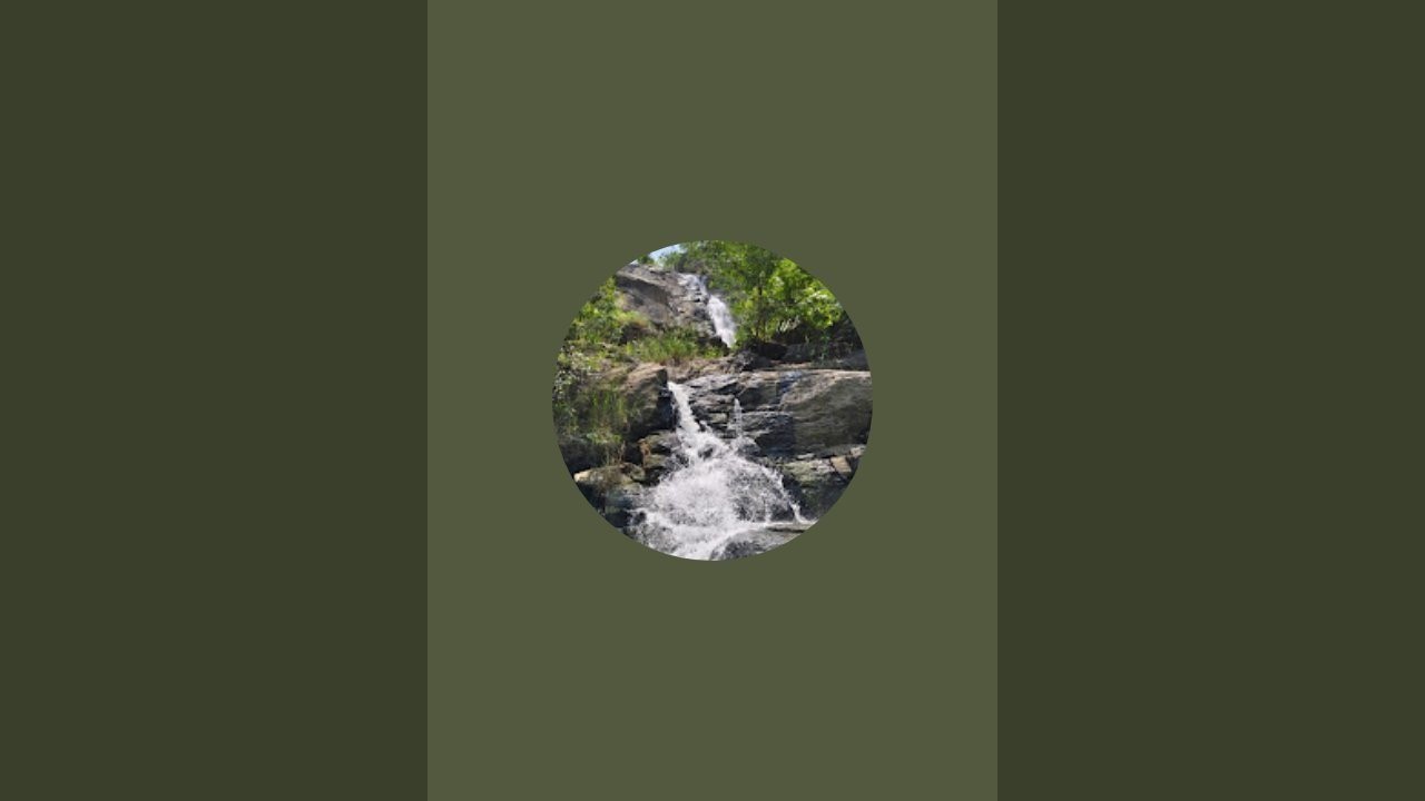 Natural Vibes  is live!