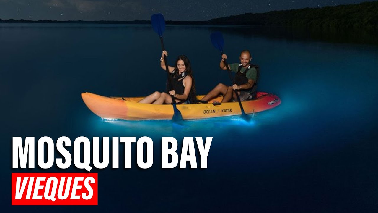 🌊 Don&rsquo;t Miss Mosquito Bay: Puerto Rico&rsquo;s Brightest Gem