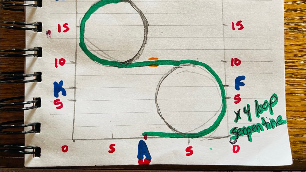 4-loop serpentine in a 20x40 Dressage Arena exercise for Working Equitation 2024 Novice A test