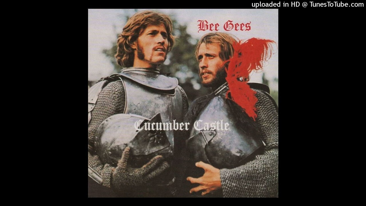 The Bee Gees - Don't Forget To Remember - Vinyl Rip